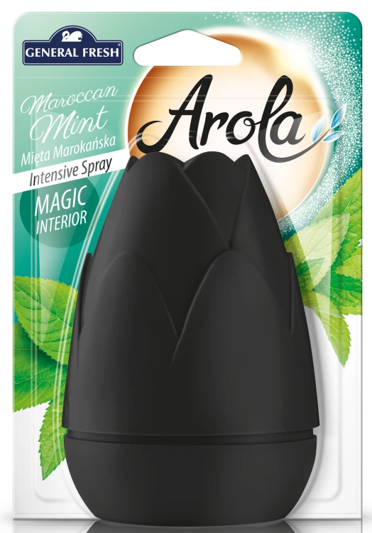 gf-arola-magic-interior-mieta-wiz_1871.png