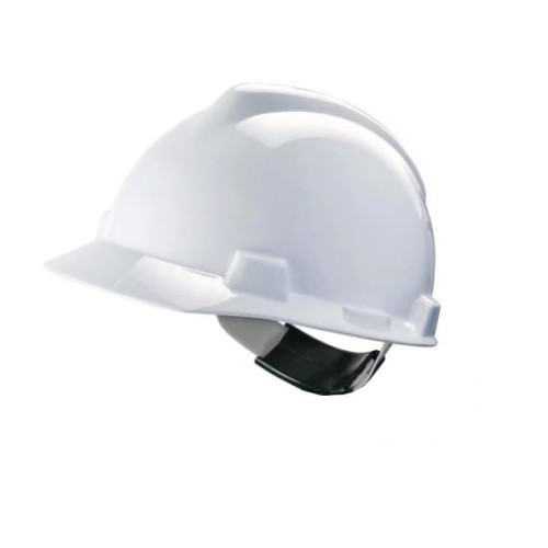 Biały  BZviking.jpg