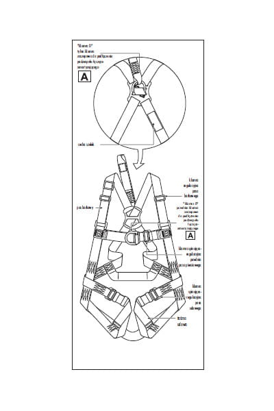 p33elrys.jpg