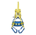 SZELKIP50111222.jpg