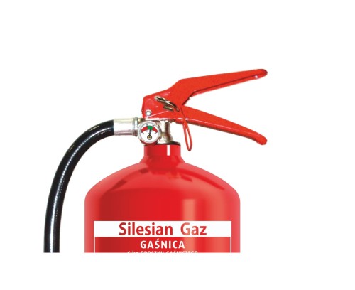 silesian 62.jpg