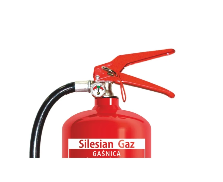 silesian 42.jpg