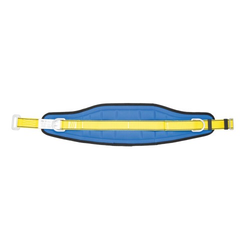 AP010_back.jpg