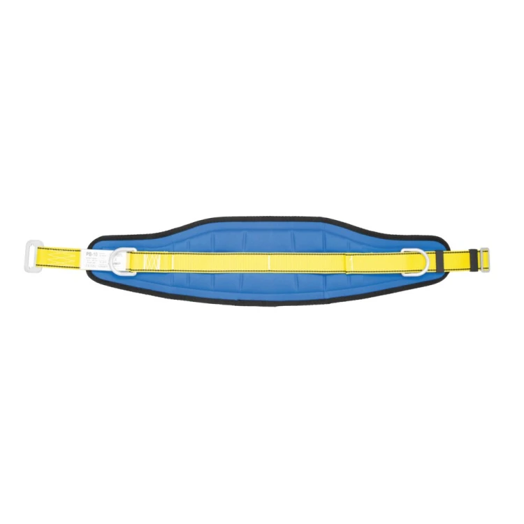 AP010_back.jpg
